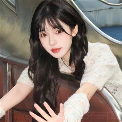 相棒剧场版4国语